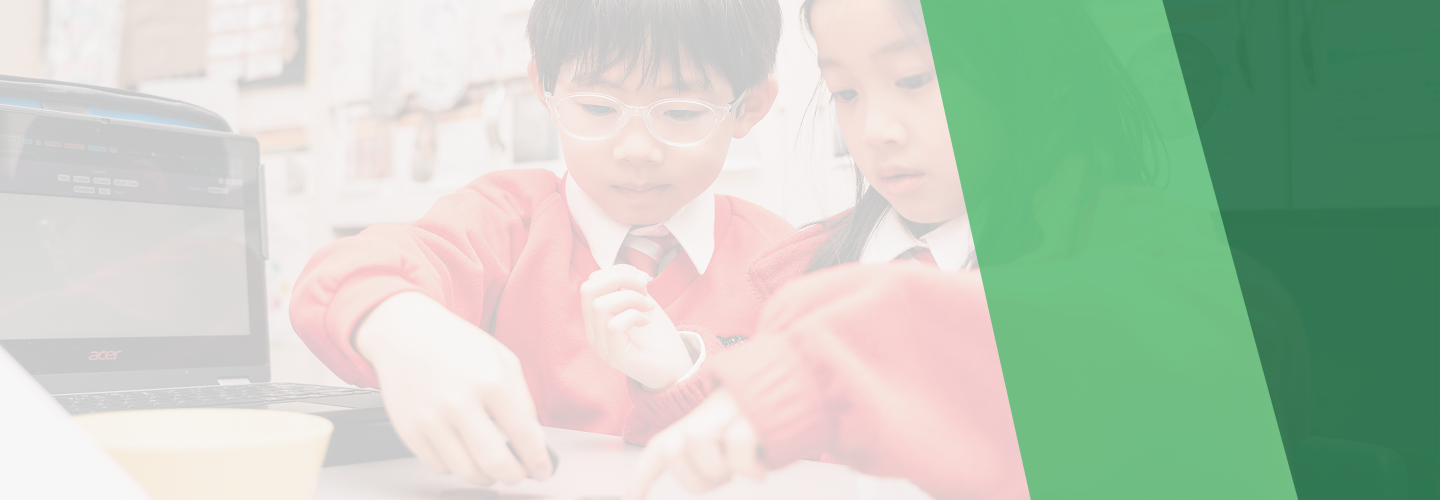 banner with green stripes